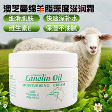 机场推荐